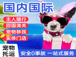 海北祁连航空快递国际宠物托运 【国